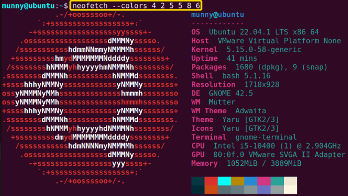 color configure of the output of the neofetch command in linux.