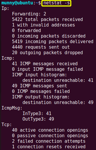 Display the statistics of all ports using netstat command in linux.