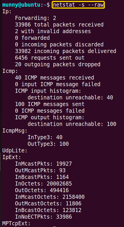 Display the RAW statistics using netstat command in linux.