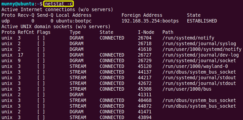 Print netstat output continuously.