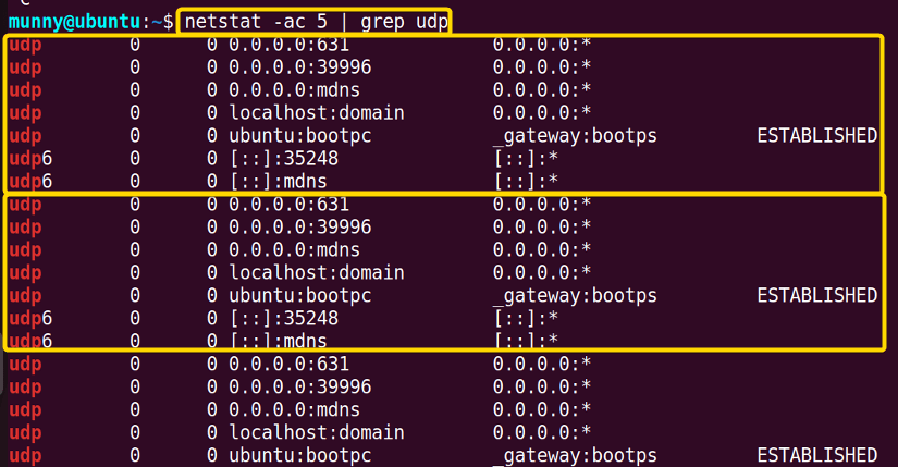 Print netstat ouput in every 5 seconds.