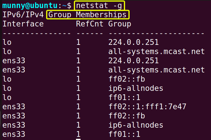 Display the multicast memberships information.