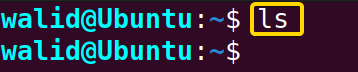 Executing the "ls" command in the server