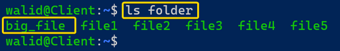 Showing the "big_file" in the local host