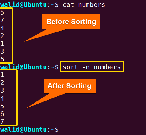 Sorting a set of numbers numerically