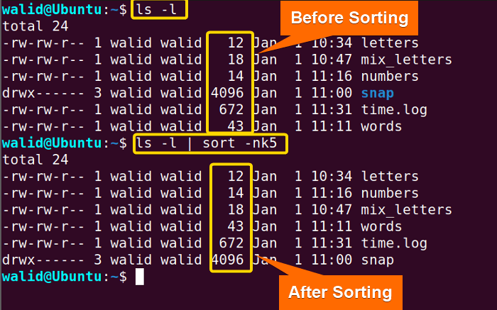 Sorting a particular column using the sort command in Linux