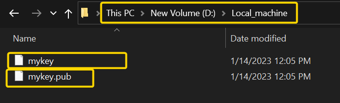 Showing public and private keys in the client computer