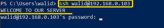 Accessing the server using the ssh command in Linux