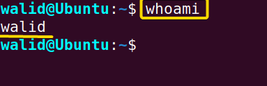 Printing the username of the server