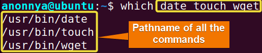 Locating multiple commands using the which command in Linux.
