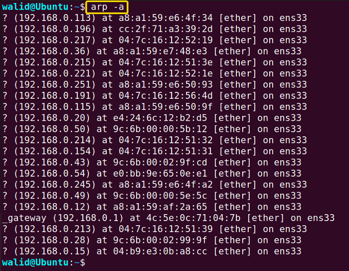 Showing all ARP cache entries