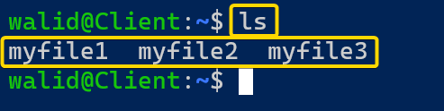 Showing files in the client computer