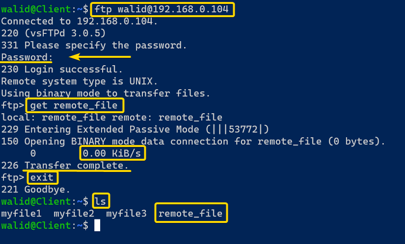 Downloading a single file using the ftp command in Linux