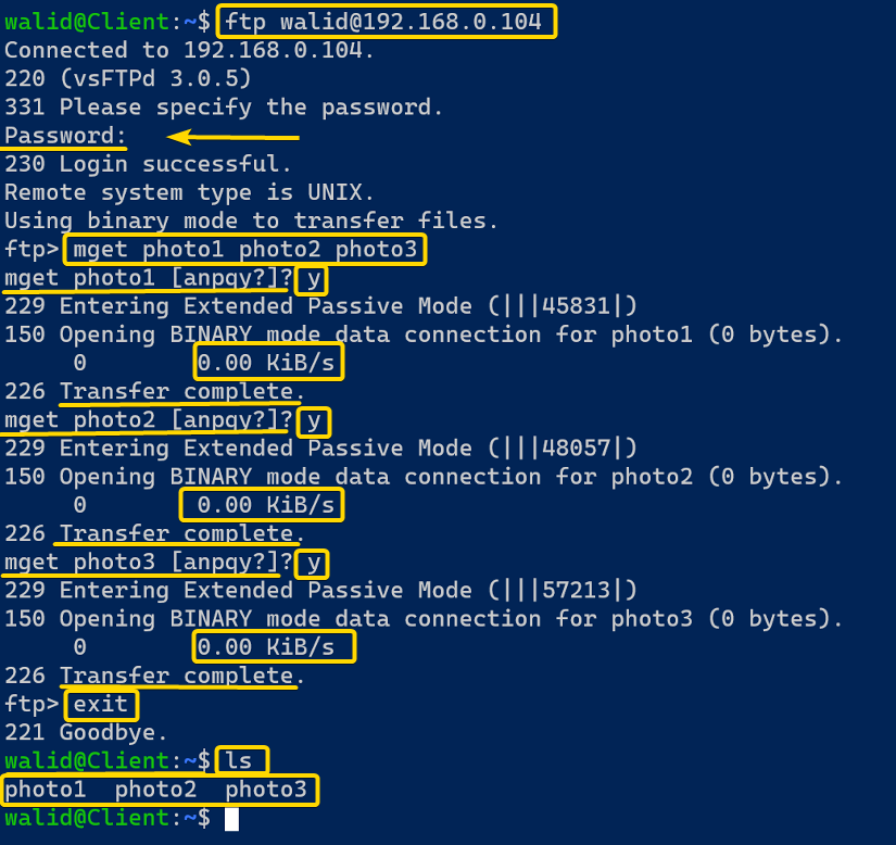 Downloading multiple files using the ftp command in Linux