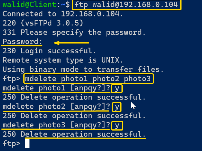 Deleting multiple files using the ftp command in Linux