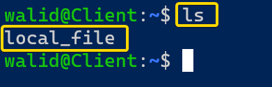 Showing local_file