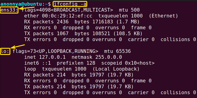 Displaying Information on All Network Interfaces Available on the System.