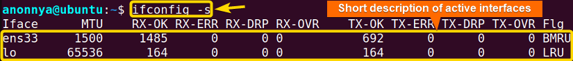 Displaying a Short  List of Active Network Interfaces.