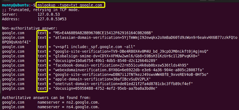 View text type DNS record.