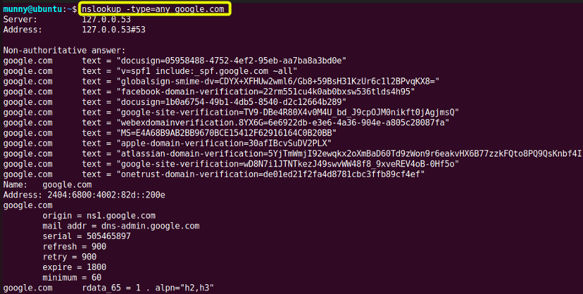 View all type DNS records.