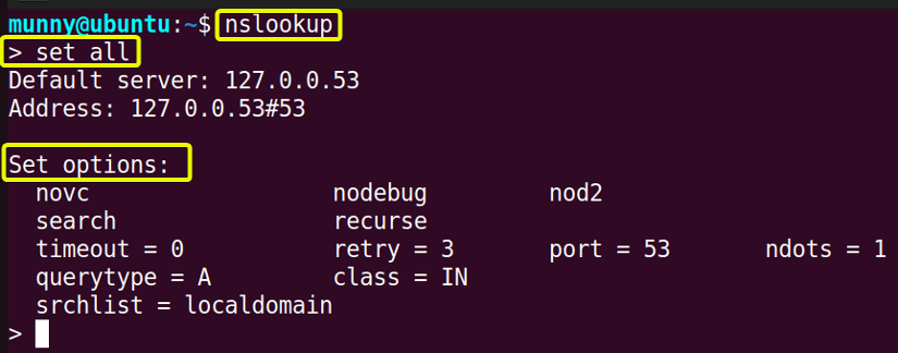 Option values of nslookup command in linux.