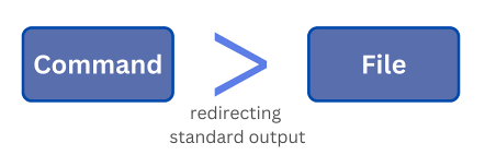 Redirecting Standard Output