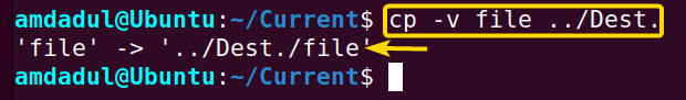 Showing that I have made a copy of the “file” to the directory “Dest.” using the relative path.