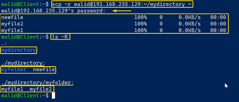 Downloading directory using the scp command in Linux