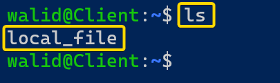 Showing local_file