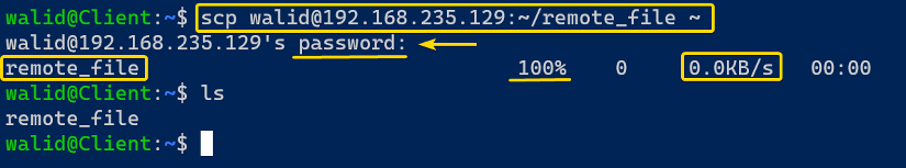 Downloading file using the scp command in Linux