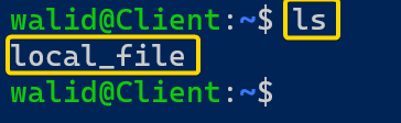 Showing local_file