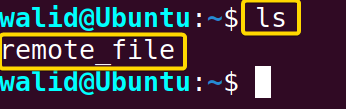 Showing the remote_file in the server