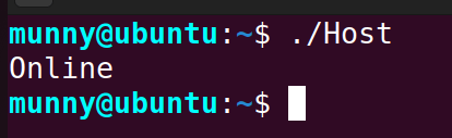 Execute the sleep command bash script.