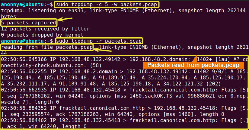 Writing and Reading Captured Packet Files.