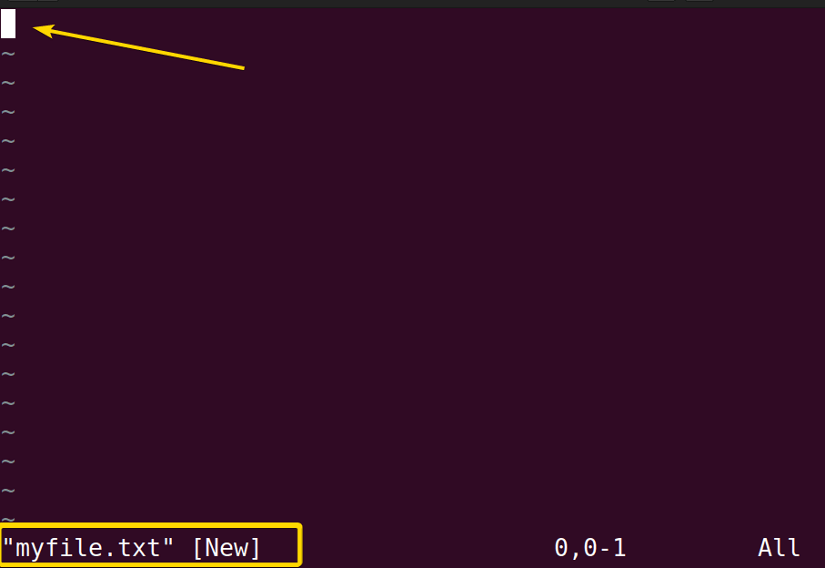 Opening a file using the vim command in Linux