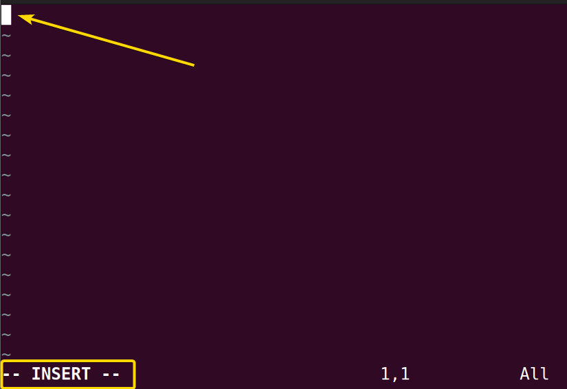 Enabling the insert mode in the vim command in Linux
