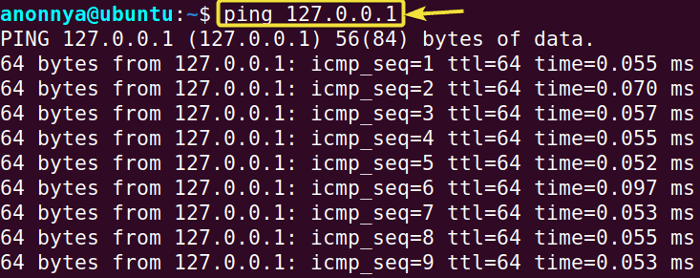 Testing Local Server using IP address.