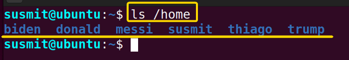 All user directories' names inside the home directory of the root user.