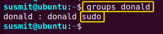 The new user named donald belongs to the sudo group.