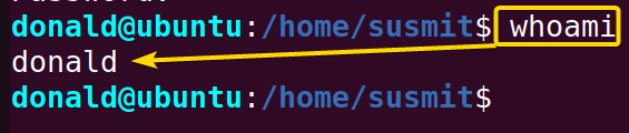 Checking the current user with the whoami command in Linux.