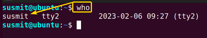 The who command has printed the name, terminal name, and login time of currently logged-in users of the system in the terminal