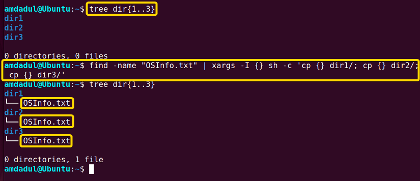 The file OSInfo.txt have been copied to multiple directories.