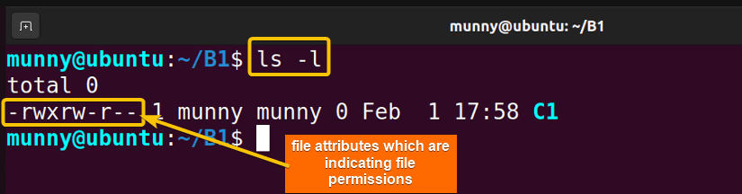 View files list using the ls command.