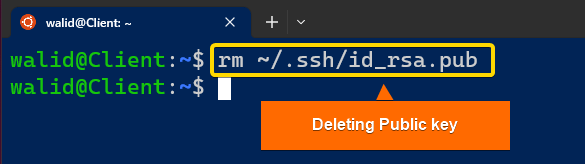 Deleting the public key from the server