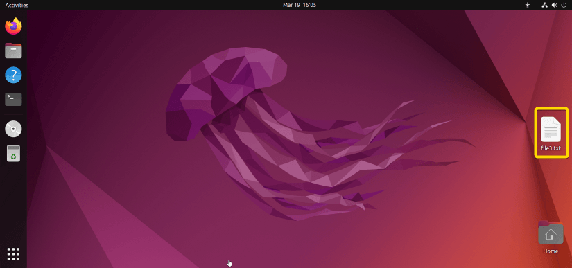 The file3.txt file is on the ubuntu desktop.