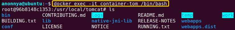 Logging into docker container.