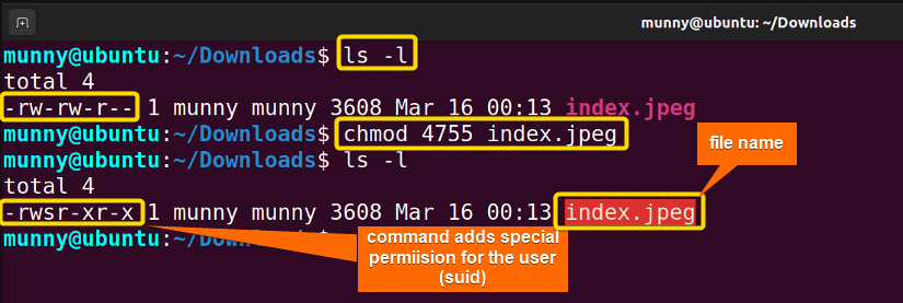 Add SUID to user.