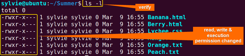 Verify permission of all files in folder in Linux
