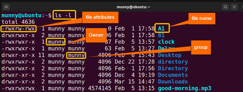 View file contents with permissions using the ls -l command.