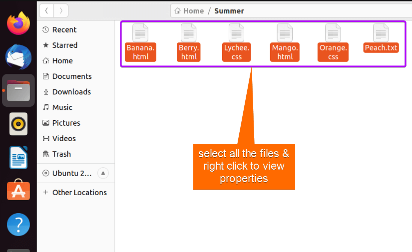 select all files to view properties in Linux